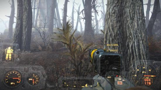 �����ǿ�