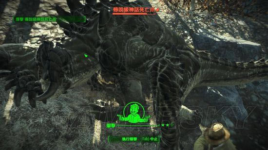 �����ǿ�