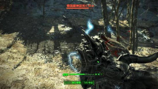 �����ǿ�