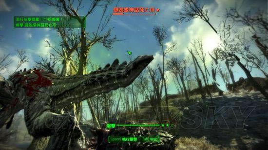 �����ǿ�