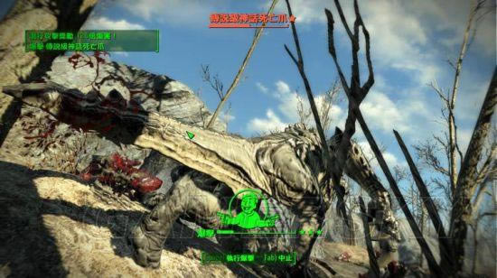 �����ǿ�