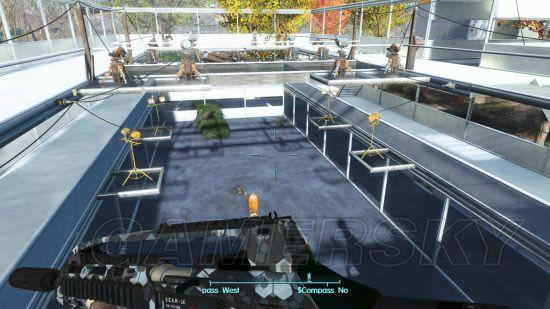 �����ǿ�