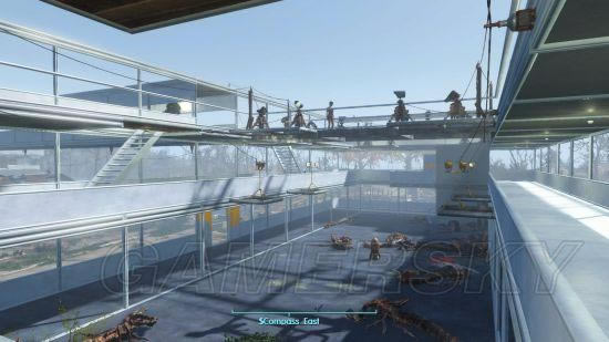 �����ǿ�