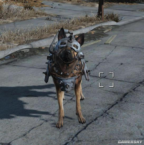 ������4������װ��ͼ�������չʾ