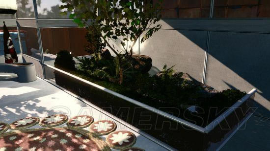 �����ǿ�