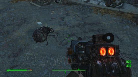 �����ǿ�