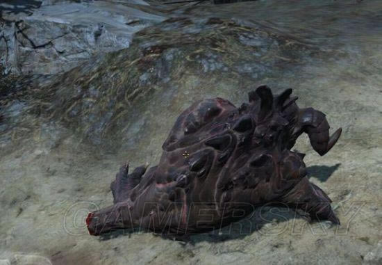 �����ǿ�