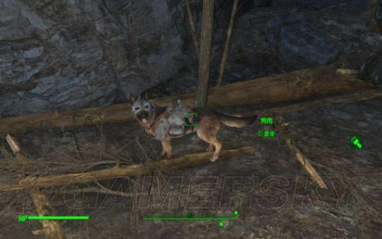 �����ǿ�