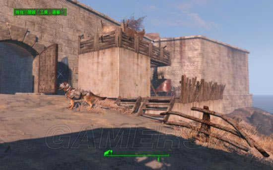 �����ǿ�