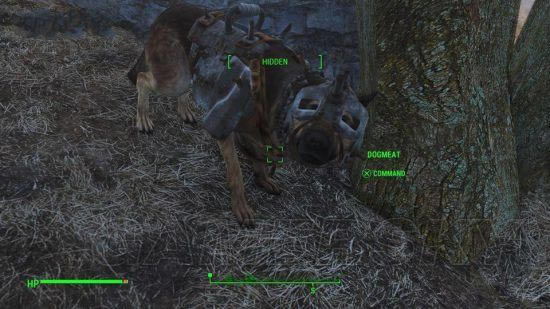 �����ǿ�