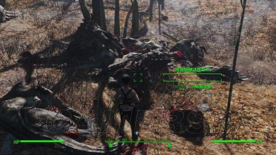 �����ǿ�