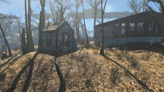 ������4���벨ʿ����ʵ�����Ա�