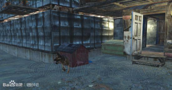 �����ǿ�