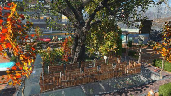 �����ǿ�