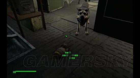 �����ǿ�