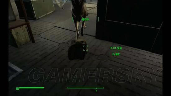 �����ǿ�