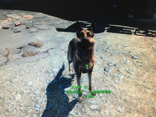 �����ǿ�