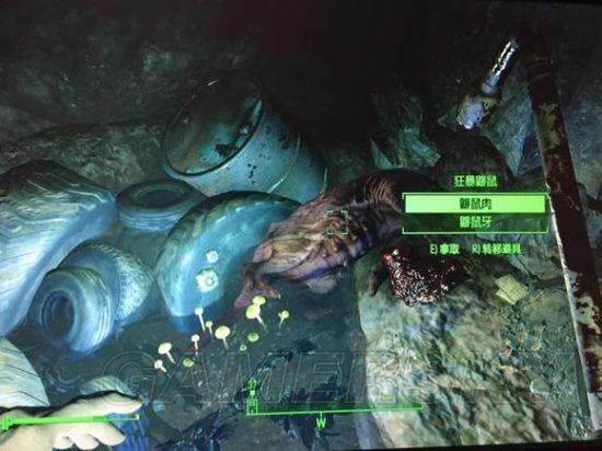 �����ǿ�