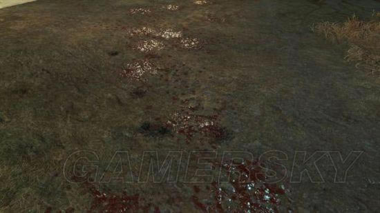 �����ǿ�