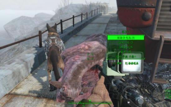 �����ǿ�