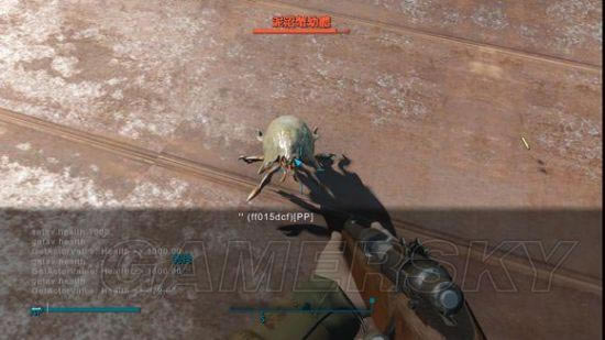 ������4��˫��ɿ����ը�Ѹ�˹�����˺�����