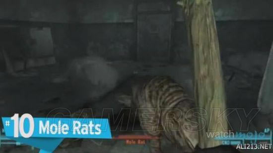 �����䡷ϵ����ֲ�����TOP10