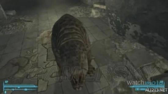 �����ǿ�