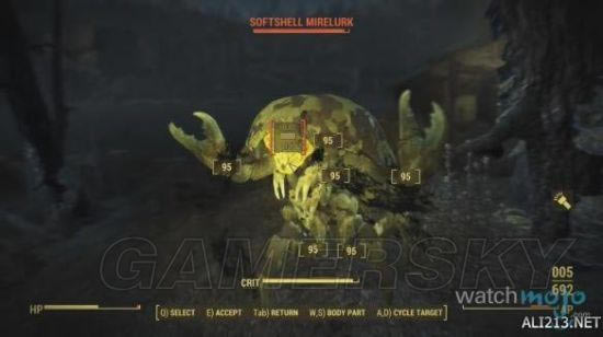 �����ǿ�