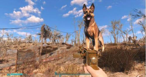 ������4��η�������ĵ�Ч������Ч��˵��