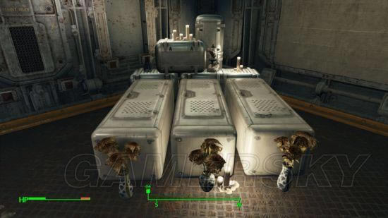 �����ǿ�