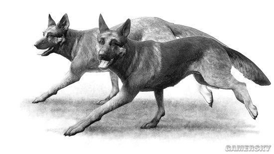 �����ǿ�