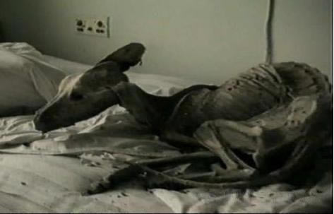 �����ǿ�