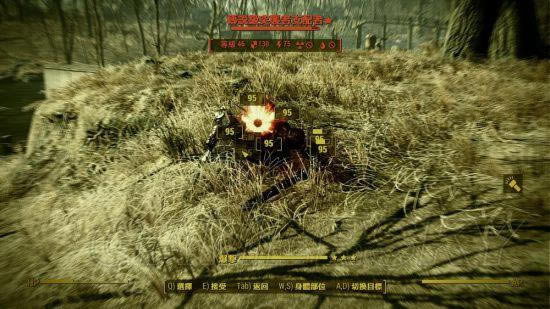 �����ǿ�