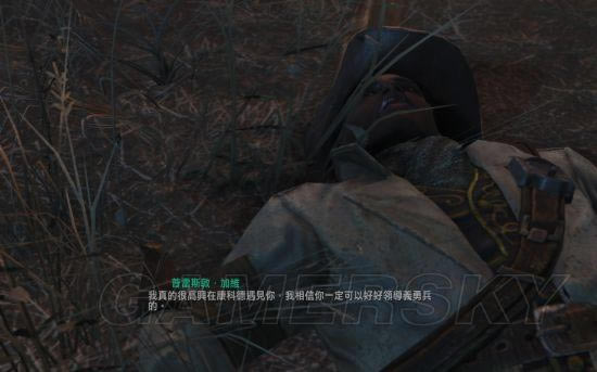 ����4-����˹�������������