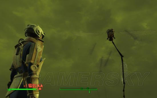 �����ǿ�