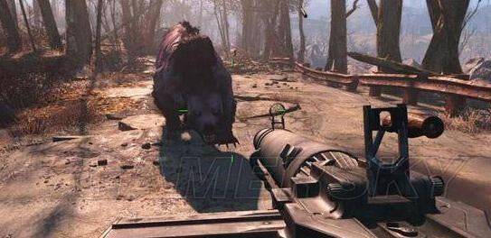 �����ǿ�