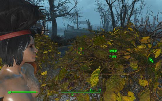 ����4-�������̹��������