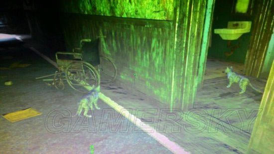 �����ǿ�