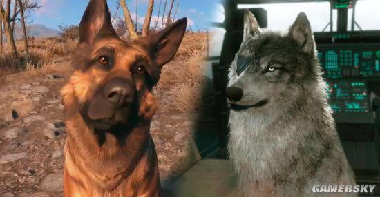 �����ǿ�