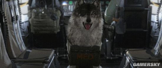 �����ǿ�