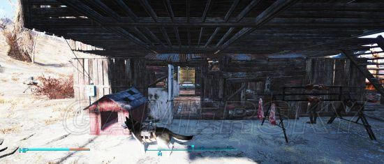 �����ǿ�