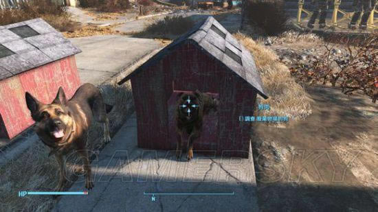 ����4-�򹷵ص㼰����