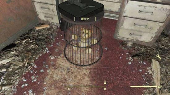 �����ǿ�