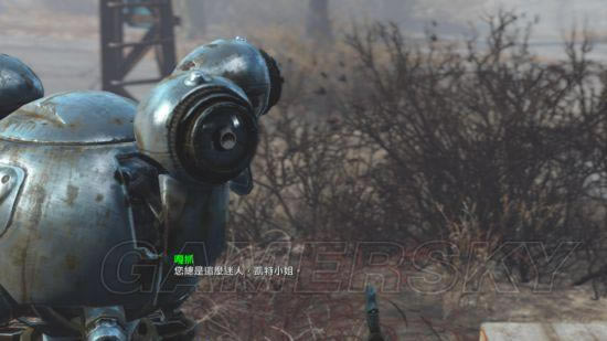 �����ǿ�