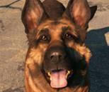 �����ǿ�