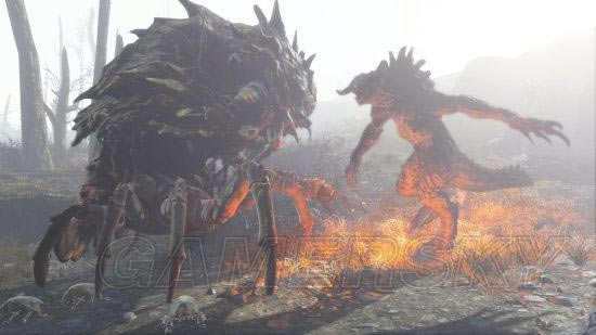 �����ǿ�