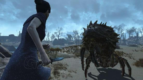 ����4-зŮ��VS��˵��צŮ�峤