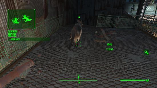 �����ǿ�