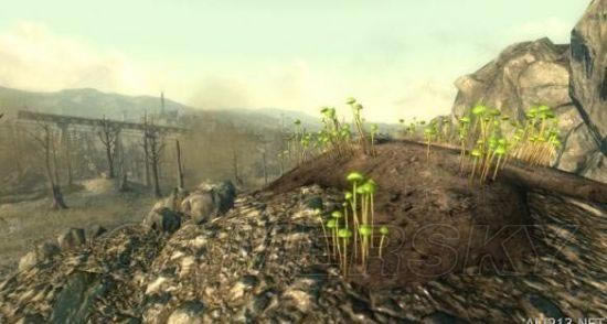 �����ǿ�