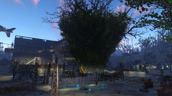 �����ǿ�